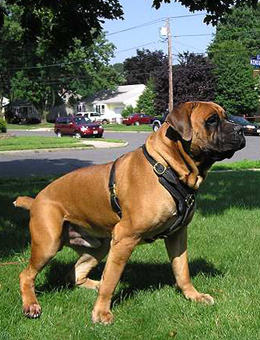 big