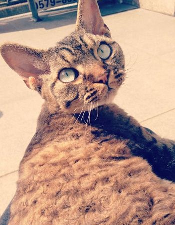 big