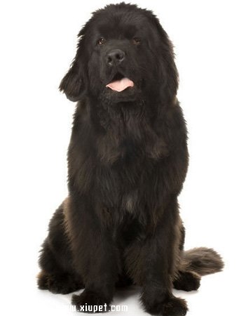 big